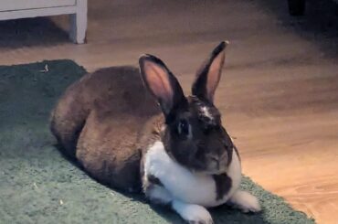 What causes big eye boogers?