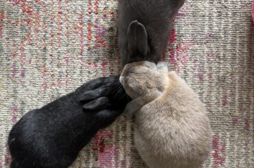 What are they talking about?