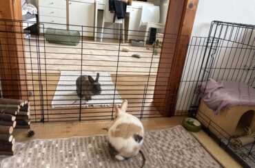 is this a good bonding set up?