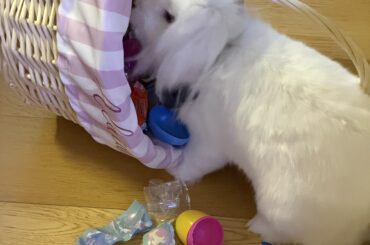 Damn Easter Bunny 😂