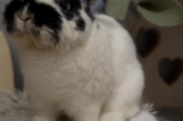 Mouf ✨
