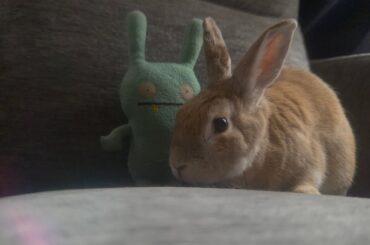 Moxie Meets Moxy