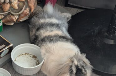 Bum crammed against a seashell tortoise and a fan. Just feet from a comfortable blanket