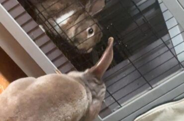 they miss each other but need time apart ! 😔