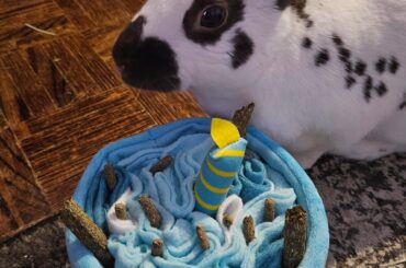 6 years young today