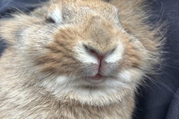 Why she look like that