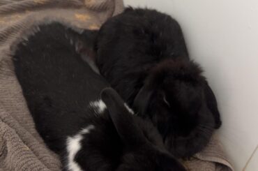 Bonding tips please!!!
