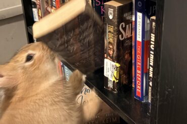 Well, he finally found them.