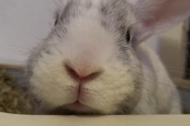 can anyone explain this behaviour to me