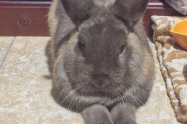 Im crying why does he sit like this