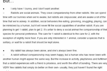 Rabbit Bonding Guide
