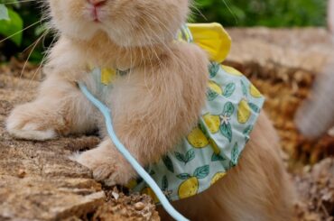 Hi, I'm QQ!