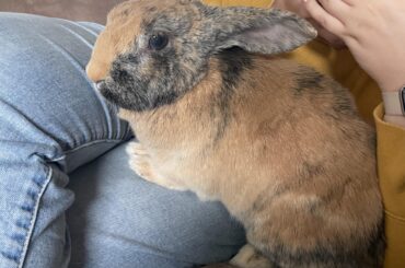 Today is Kuro’s 9th birthday!