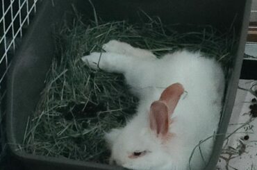 He... Doesn't like cilantro...?!