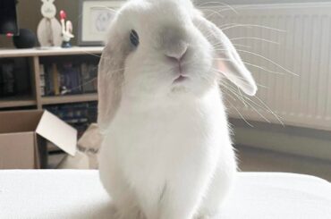In need of a little advice please …