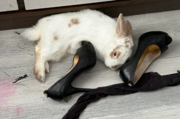 he is using the heel as a pillow . if the shoe fits i guess !