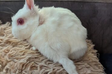 Bruh idk why she likes doing that but atleast she's comfortable.