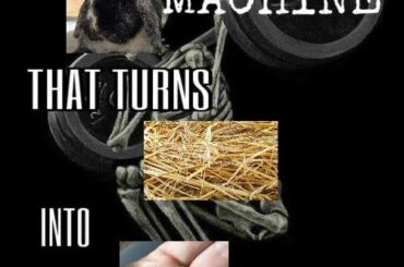 My partner is very proud of this meme he made