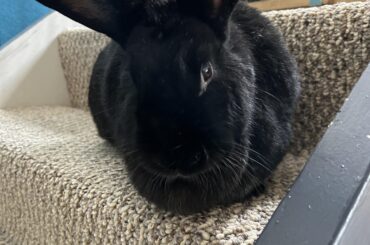 I lost her today and I don’t know what to do with myself 😭