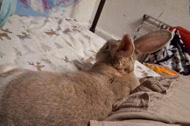 Bedtime