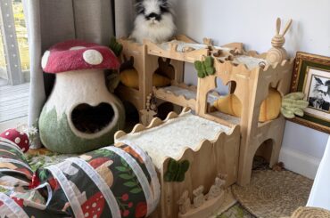 In this year’s edition of Easter Clearance impulse purchases for Stanley’s burrow…