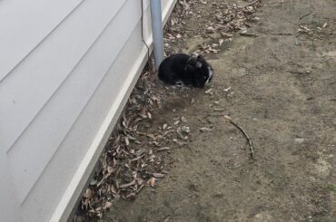 Supervisor not thrilled with my work