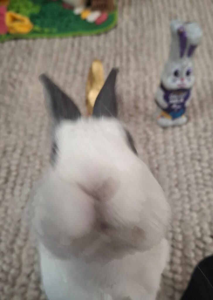 Zero Survival Instinct