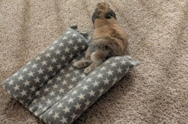 Borpo says technically ☝️ he is using the bed