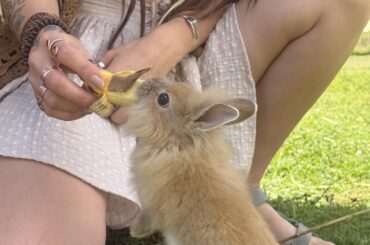 She’ll always stand up for a banana