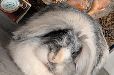 The final boss of the loaf