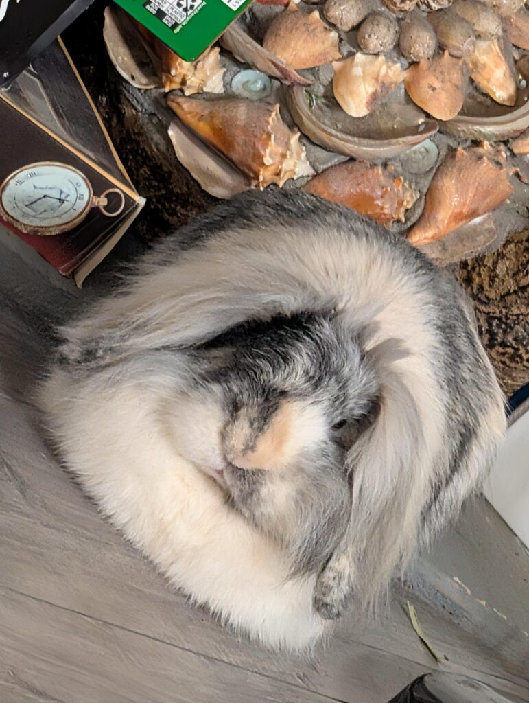 The final boss of the loaf