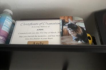 Got him back yesterday