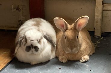 Can’t tell if they’re disappointed or well pleased