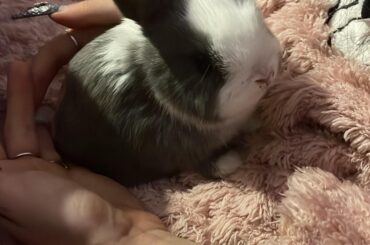 Can you help me?