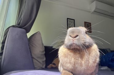 the earth says hellooooo