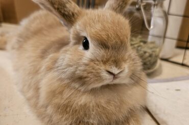 Miso photo of the day