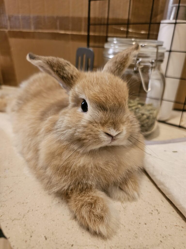 Miso photo of the day