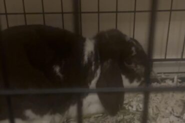 PLEASE!!! How to help this baby!!!