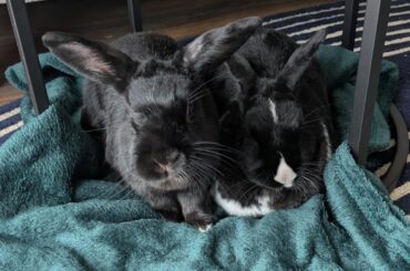Today and when they were babies
