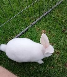 Baby loves her outside time