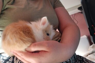 Baby Coco