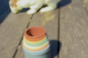 I saw these on TikTok and wanted to see if my bunny would like them