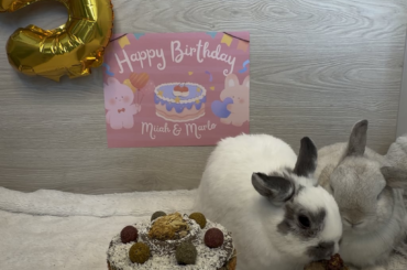 I just want to say happy birthday to my babies
