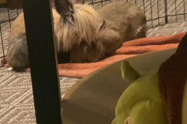 when he gets all your nooks and crannies