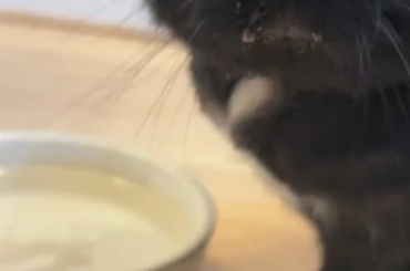 Enjoying his water