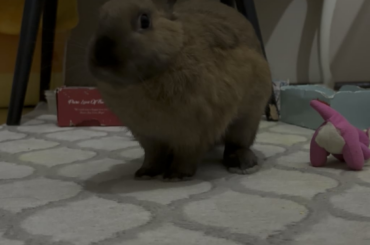 careful, she’s awake now.