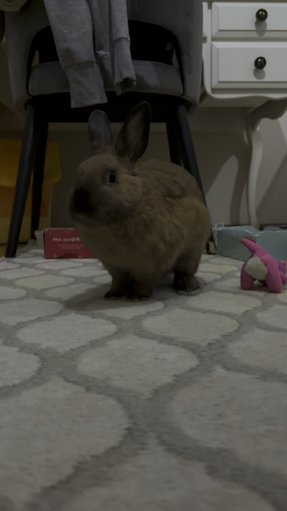 careful, she’s awake now.