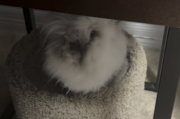 He can absolutely move if he wants to