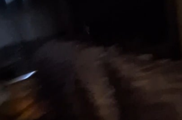 Finally caught a binky on video