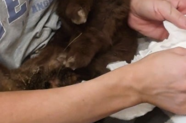 Max nappy change